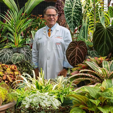 MonsteraX World S Plant Marketplace Official Home For Rare Variegated Plant Enthusiasts