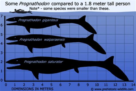 Top 10 mosasaurs