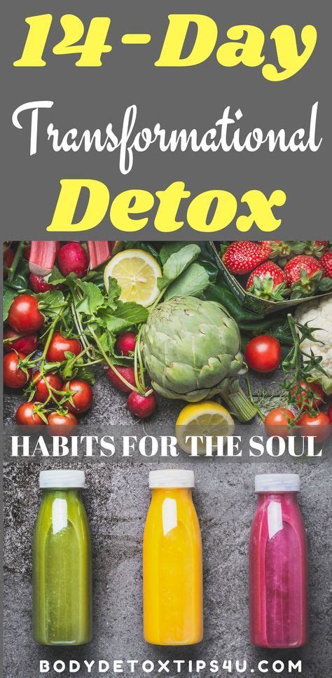 14 Day Transformational Detox Habits For The Soul A Full 14 Day Detox