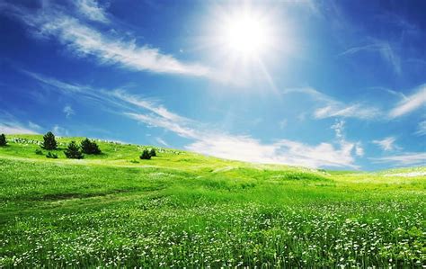Clearly Sunny Field Sunny Nature Green Field Hd Wallpaper Peakpx