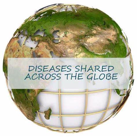 2.3 billion individuals on the planet experience the ill effects of in excess of 5 diseases