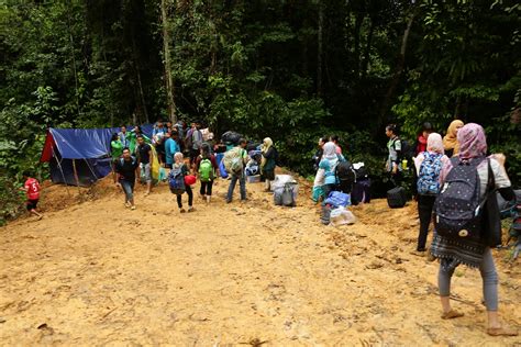 A Volumes Transcend Borneo Geographic Expedition Flickr