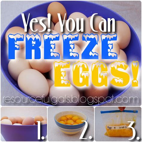 This is one of my favorite methods for cooking chicken and having it in the freezer ready to go for a variety of meals! The Resourceful Gals: Freeze Eggs? Yes, You Can!