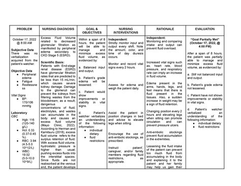 Ncp Grand Case Nursing Care Plan Of Chronic Kidney Disease Problem Nursing Diagnosis Goal