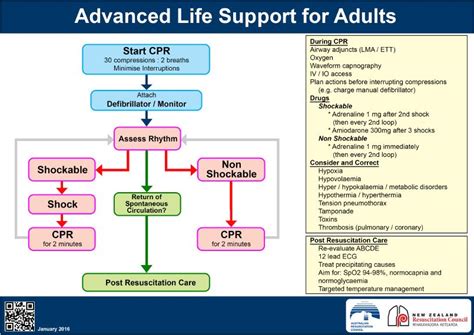Advanced Life Support Basic Life Support Supportive Airway Management