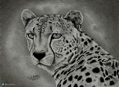 In this drawing lesson we'll show you how to draw a learn how to draw cheetah for kids easy and step by step. Drawing cheetah by alaadin on DeviantArt