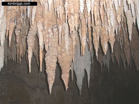 Limestone Stalactite Cave Photos Mexico