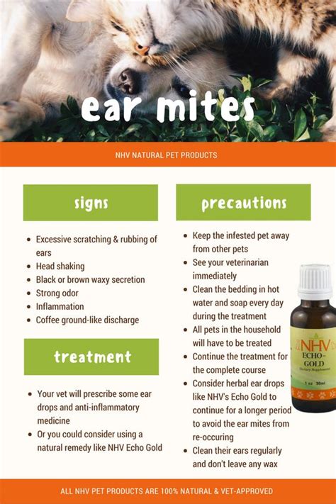 Can Humans Catch Ear Mites From Pets Pets Retro