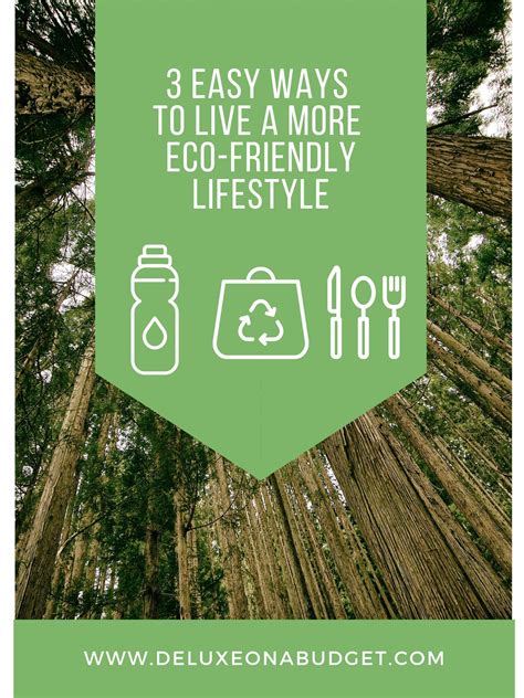 3 Easy Ways To Live A More Eco Friendly Lifestyle In 2020 Eco