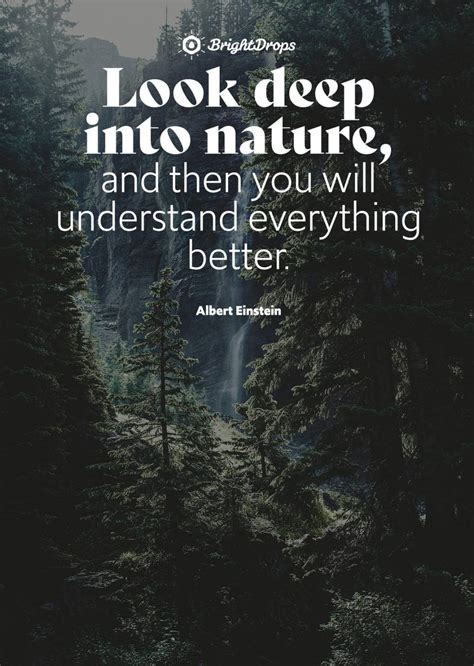 105 Inspirational Nature Quotes On Life Its Natural Beauty