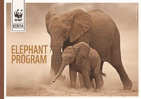 Elephant Conservation Programme Wwf Kenya