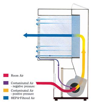 Where it does and does not go. difference between laminar flow hood and biosafety cabinet ...