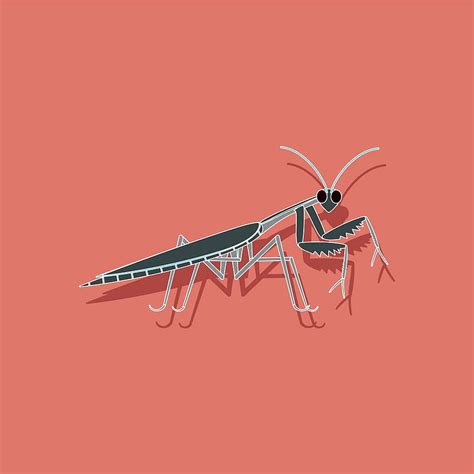 Paper Sticker On Background Of Mantis Vector Ai Eps Uidownload