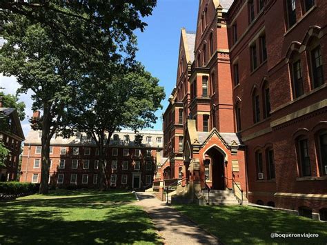 Qué Ver En Cambridge Ma Visita A Harvard Y El Mit