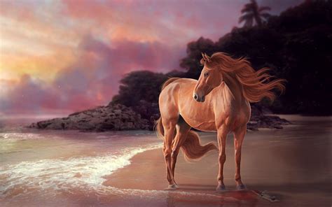 Horse On Beach Wallpapers Top Free Horse On Beach Backgrounds