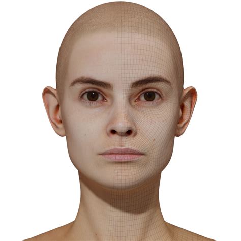 Female 3d Model Retopologised Head Scan 48
