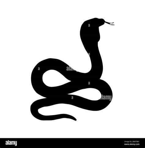 Silueta De Serpiente Sobre Fondo Blanco Fotografía De Stock Alamy