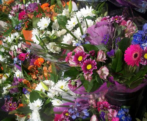 Purple flowers also look great alongside white flowers, pink flowers, or yellow blooms. Willows On Willows: Fresh Cut Flowers on Display