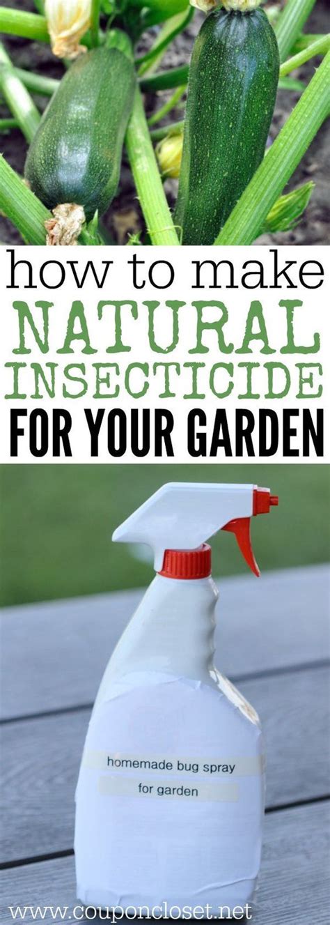 How To Make Natural Pesticides Homemade Insecticide Gardens