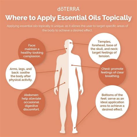 Where To Apply Essential Oils Topically Your Skin Is The Bodys