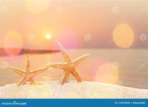 Sea Stars On Sand Close Up View Stock Photo Image Of Sand Tropical