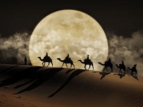 Now $11 (was $̶2̶1̶) on tripadvisor: Arabian Nights - Academy of Fragrance Alchemy