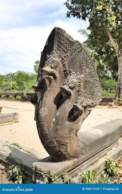 Five Head Snake In Beng Mealea Stock Photo Image 36017010