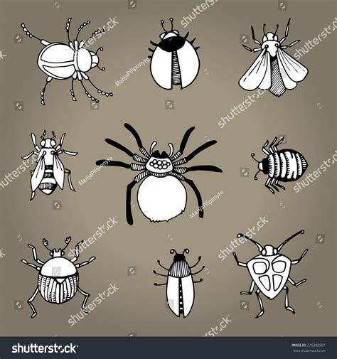 Set Of Bugs And Insects Hand Drawn Vector Illustration 270388907