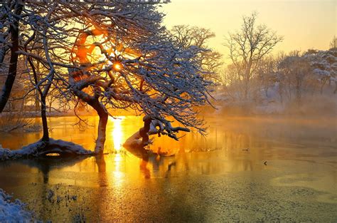 Nature Hdr Landscape Scenery Season Winter View Colors Snow Ice Clouds Sky Sunset Tree Trees