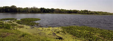 Horseshoe Lake, Brazos Bend State Park : r/houston
