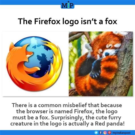 Mozilla Firefox Logo Firefox Logo Logo Red Panda