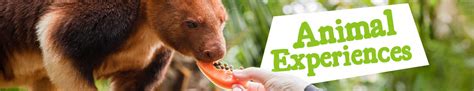 Animal Experiences Archive - Adelaide Zoo