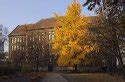 Nach auswahl der klasse, erscheinen die bücherlisten (elterneigenanteil). Schulen und Projekte | Berliner Mathematische Gesellschaft