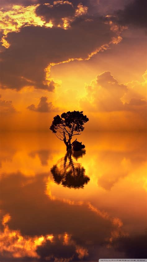 Download these beautiful sunset wallpapers that will make a great addition to the home or lock screen of your iphone and ipad. Real Beautiful Sunset Wallpaper Download #real #beautiful ...