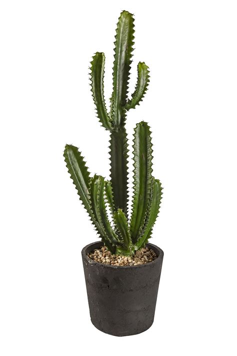 I've been working on this all week and it was totally worth it. TALL CACTUS TREE - Marina Home