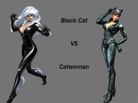 Black Cat Vs Catwoman By Lord Lycan On Deviantart