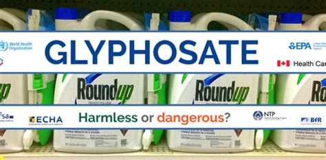 Infographic Global Regulatory Health Research Agencies On Whether Glyphosate Causes Cancer