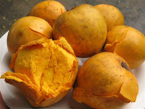 You may have already tried some of these already, but if you haven't, definitely try to get your hands on them! bucaio: Rainy Season Fruits