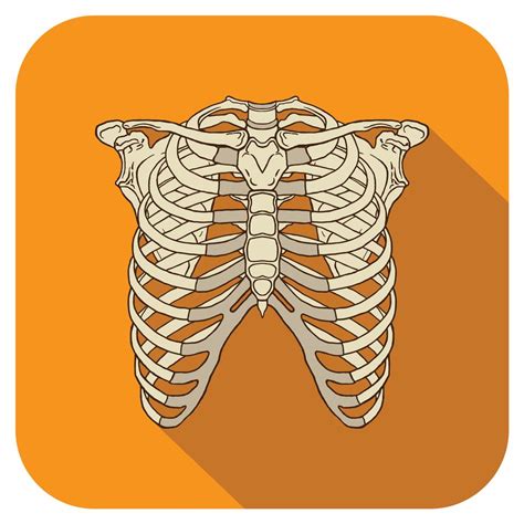 Ribs Flat Icon Orange 640174 Vector Art At Vecteezy