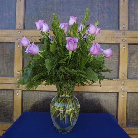 Lavender Dreams African Roses Sf 41 In Claremont Ca Sherwood