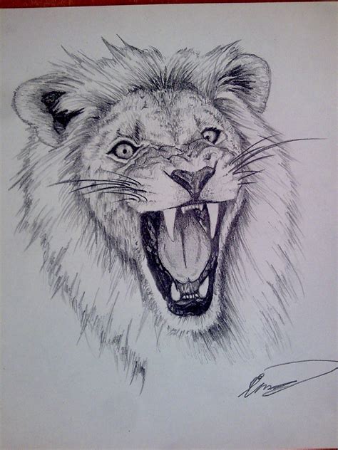 Draw a series of curved lines that connect the major shapes to form the rest of the lion s body on the right side of the body draw a curved line similar to a backward letter j as a guide for the tail. Lion Roaring Drawing at GetDrawings | Free download