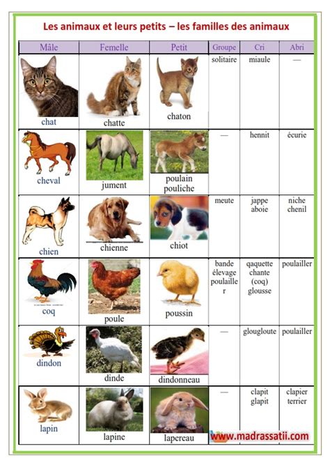 les animaux , leurs petits, leurs cris et leurs abris – موقع مدرستي