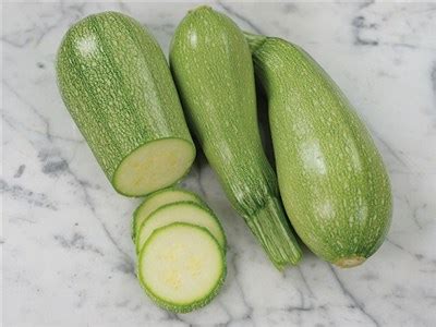 Ultimately a doublet of courgette through the original latin cucurbita. Zucchini Gray | Baker Creek Heirloom Seeds