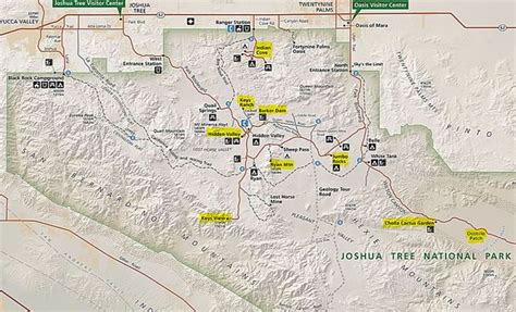 Joshua Tree Day Trip from Palm Springs California