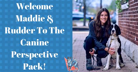 Welcome Maddie And Rudder To The Canine Perspective Pack Dog Training