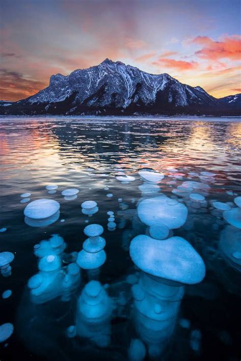 A Guide To Visiting The Abraham Lake Bubbles Splendid India Tours