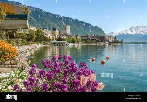 Spring Flowers Am Quai Des Fleures Montreux Lake Geneva Switzerland