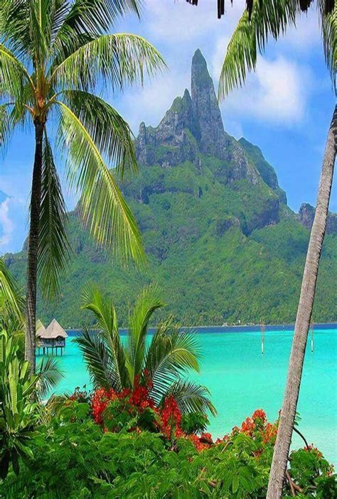 Tropical Scenery Beautiful Islands Scenic Beautiful Places