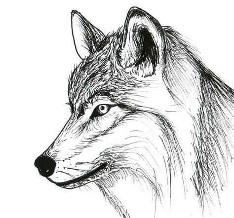 Tete de lion dessin zen animal mandala, coloriage anti stress inspiration mandala adulte à colorier. Loup Dessin par Valentine Fasquel | Artmajeur