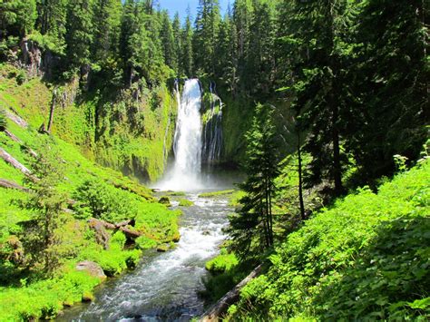 Lemolo Falls Trail Is A 34 Mile Moderately Trafficked Out And Back